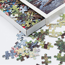 Fotopuzzle, puzzle z własnym zdjęciem, zdjęcia na puzzlach Gdańsk